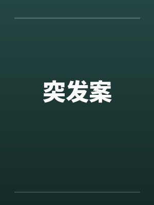 突发案