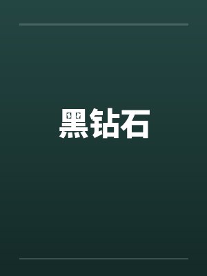 黑钻石笔趣阁无弹窗