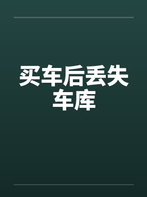 买车后丢失车库笔趣阁无弹窗