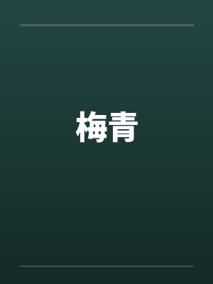 梅青笔趣阁无弹窗