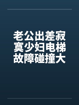 老公出差寂寞少妇电梯故障碰撞大学生搬运工