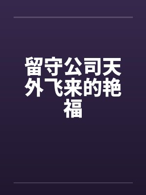 留守公司天外飞来的艳福by佚名