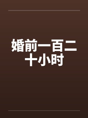 婚前一百二十小时by佚名
