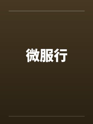 微服行笔趣阁无弹窗