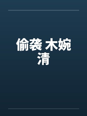 偷袭 木婉清