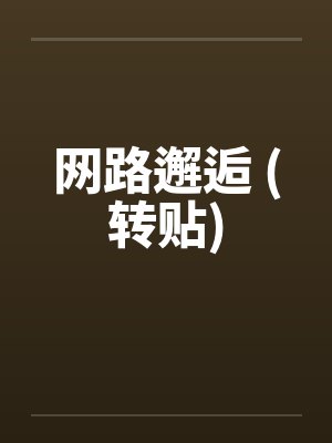 网路邂逅 (转贴)