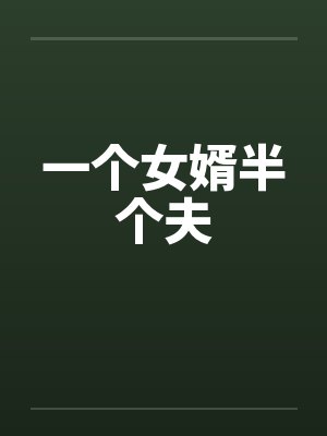 一个女婿半个夫笔趣阁无弹窗