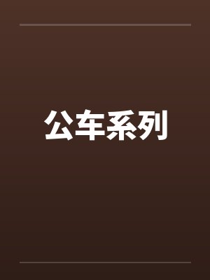 公车系列