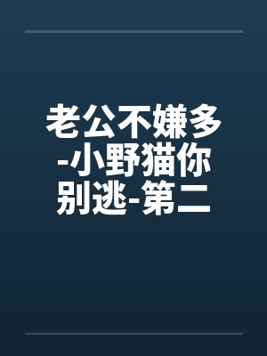 老公不嫌多-小野猫你别逃-第二部 混乱的同居生活 100.没有结果的争论by佚名