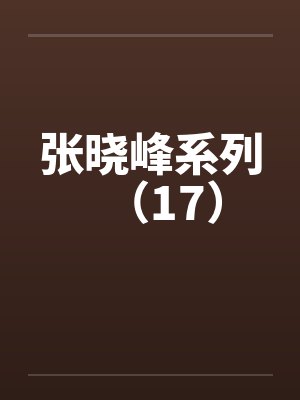 张晓峰系列（17）