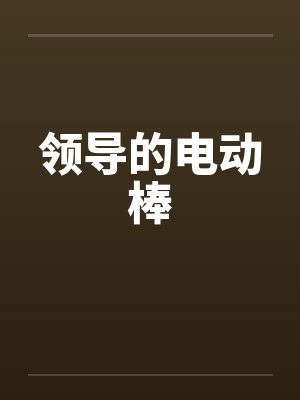 领导的电动棒