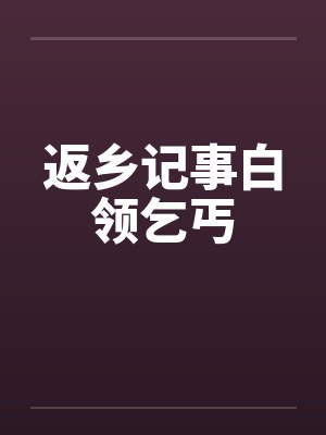 返乡记事白领乞丐by佚名