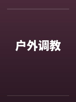 户外调教