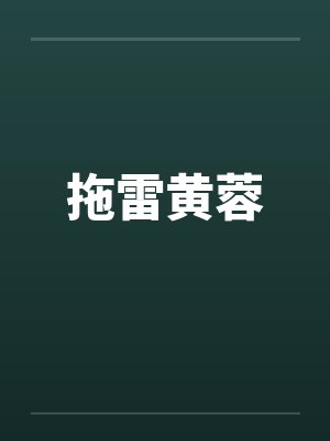 拖雷黄蓉by佚名笔趣阁无弹窗