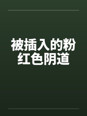 被插入的粉红色阴道by佚名笔趣阁无弹窗