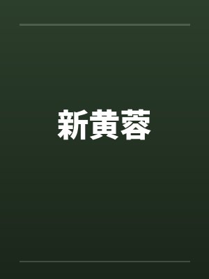 新黄蓉by佚名