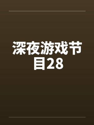 深夜游戏节目28