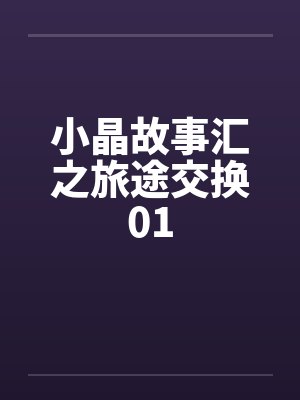 小晶故事汇之旅途交换01笔趣阁无弹窗