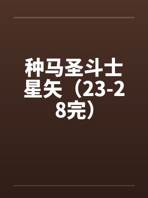 种马圣斗士星矢（23-28完）