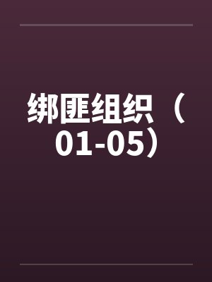 绑匪组织（01-05）笔趣阁无弹窗