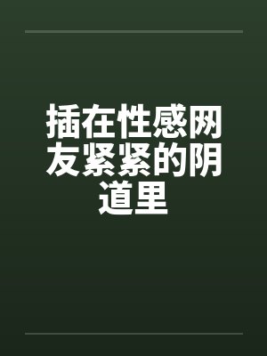 插在性感网友紧紧的阴道里