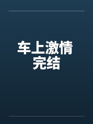 车上激情 完结
