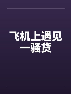 飞机上遇见一骚货