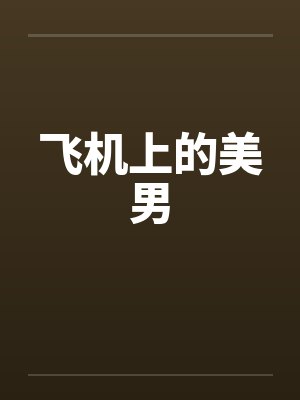 飞机上的美男